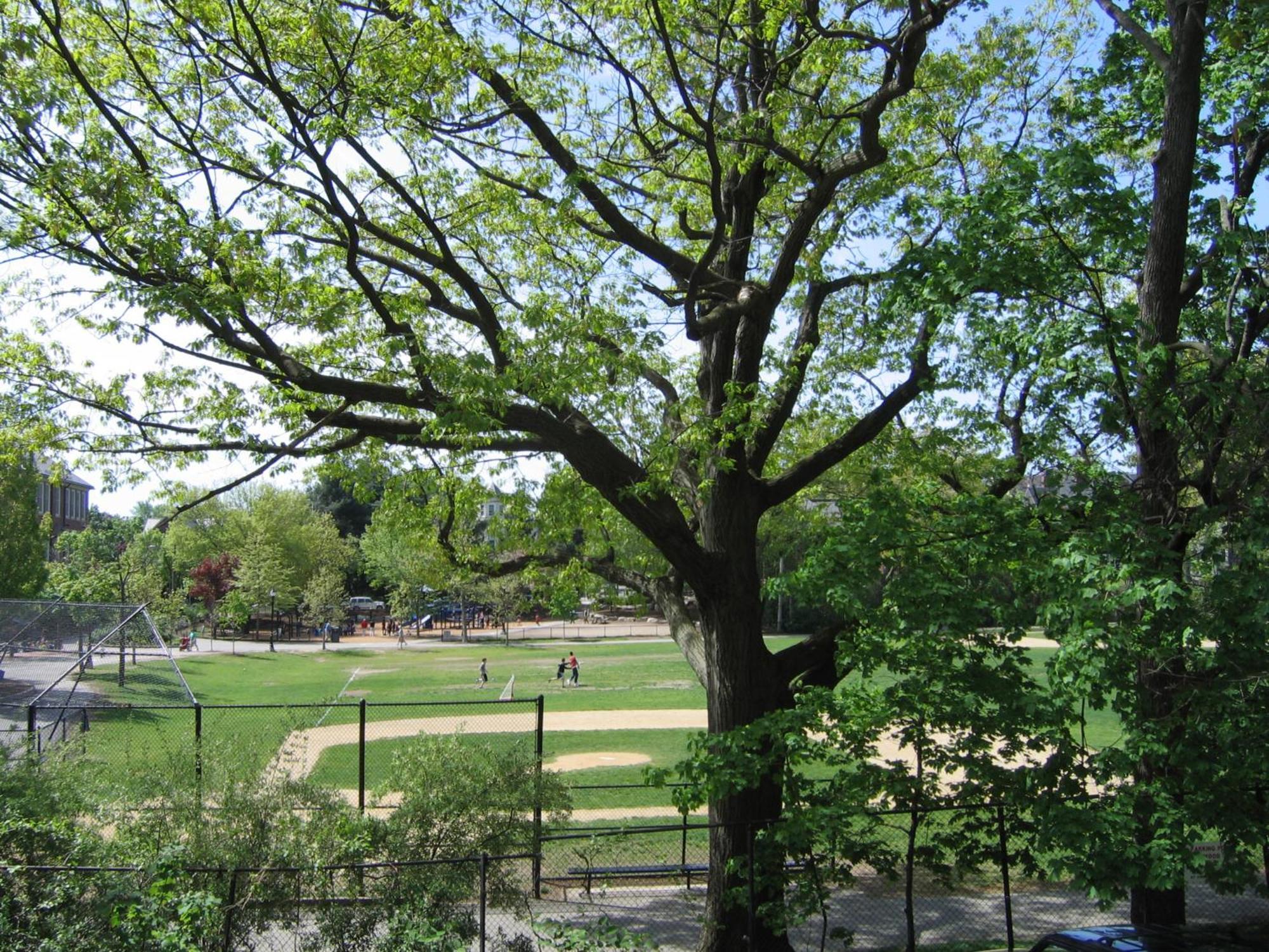 Longwood Inn Brookline Esterno foto